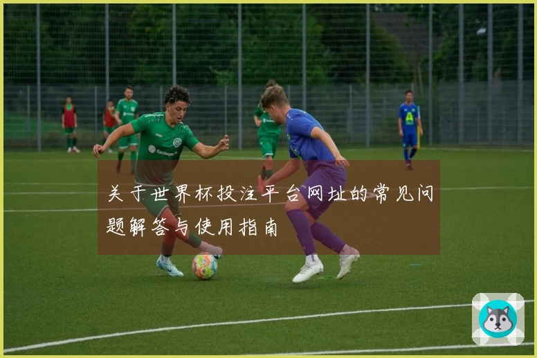关于世界杯投注平台网址的常见问题解答与使用指南