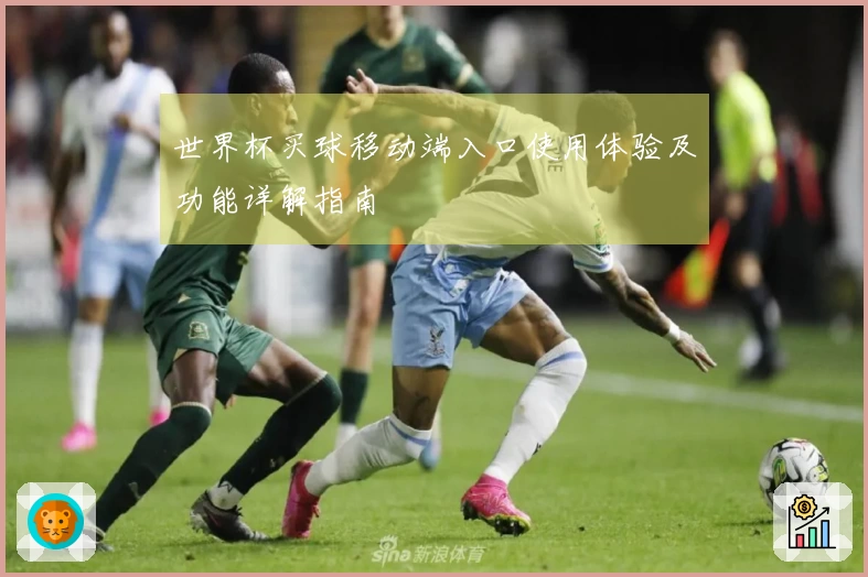 世界杯买球移动端入口使用体验及功能详解指南