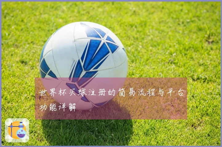 世界杯买球注册的简易流程与平台功能详解