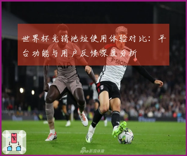 世界杯竞猜地址使用体验对比：平台功能与用户反馈深度分析