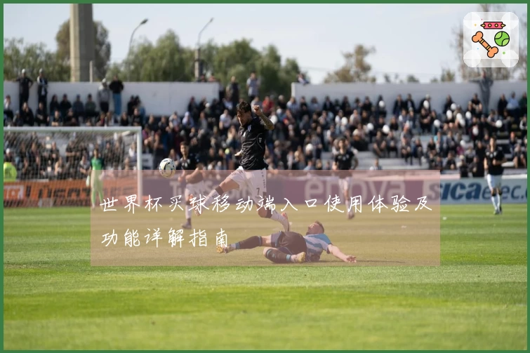 世界杯买球移动端入口使用体验及功能详解指南
