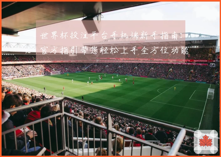 世界杯投注平台手机端新手指南：官方指引带您轻松上手全方位功能介绍