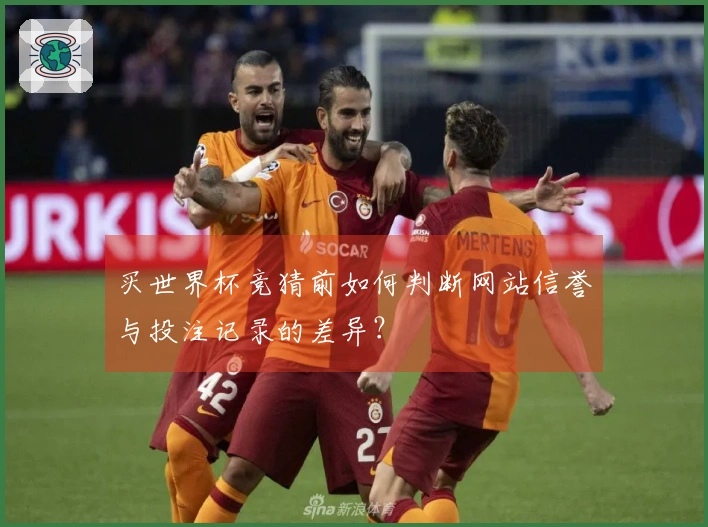 买世界杯竞猜前如何判断网站信誉与投注记录的差异？