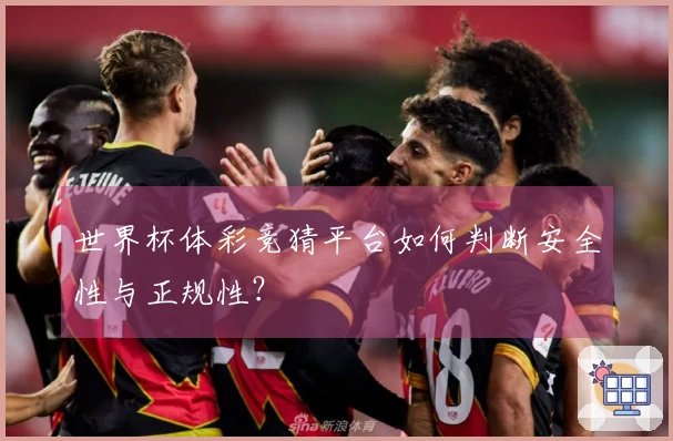 世界杯体彩竞猜平台如何判断安全性与正规性？