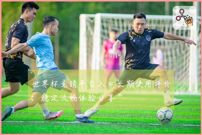 世界杯竞猜平台入口长期使用评价：稳定流畅体验分享